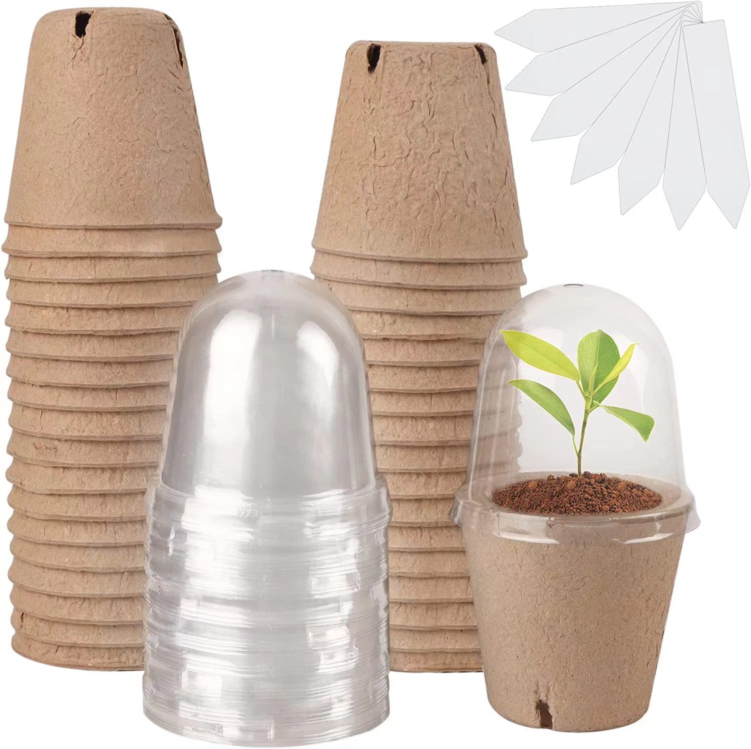 Indoor Herb Garden Kit - Pot Peat Biodegradable untuk Pembibitan, Pot