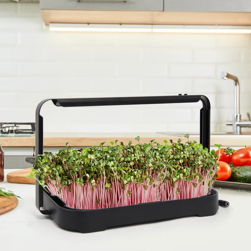Smart Garden Kit - Baki Hidroponik untuk Tanaman Mikro Dalam