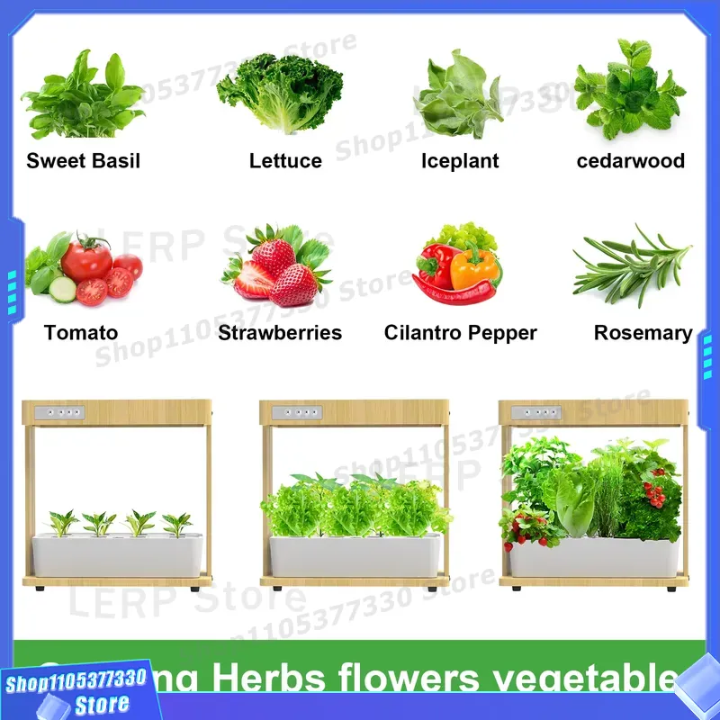 IGS-05 Smart Hydroponic Garden - Indoor Herb Garden Kit ulasan dan harga