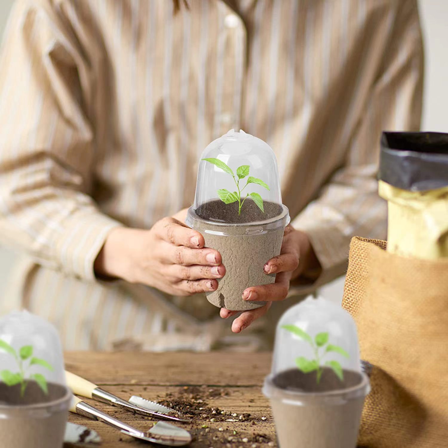Pot Peat Biodegradable untuk P - Indoor Herb Garden Kit ulasan dan harga