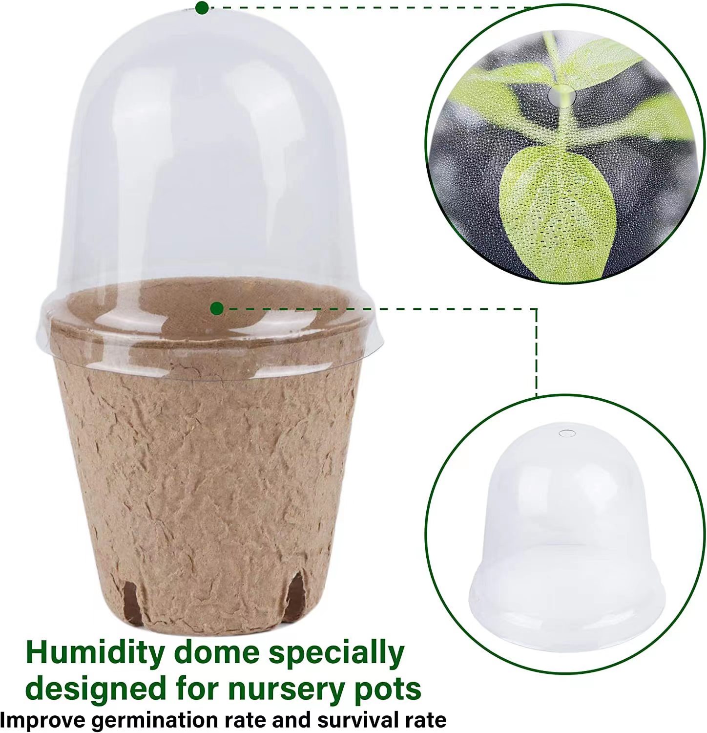 Pot Peat Biodegradable untuk P - Indoor Herb Garden Kit ulasan dan harga