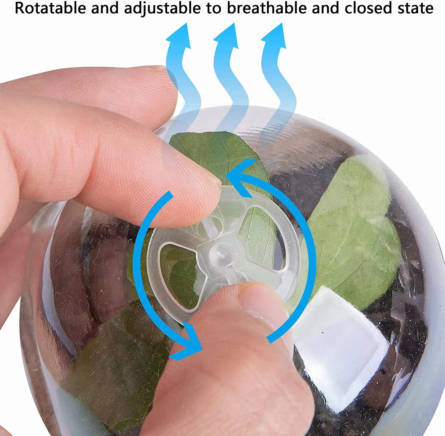 Pot Peat Biodegradable untuk P - Indoor Herb Garden Kit ulasan dan harga