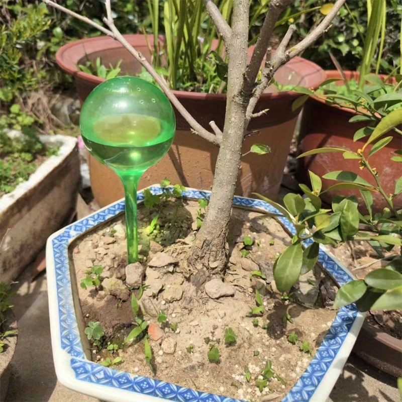 6PCS Bola Penyiram Otomatis un - Smart Garden Sprinkler System ulasan dan harga