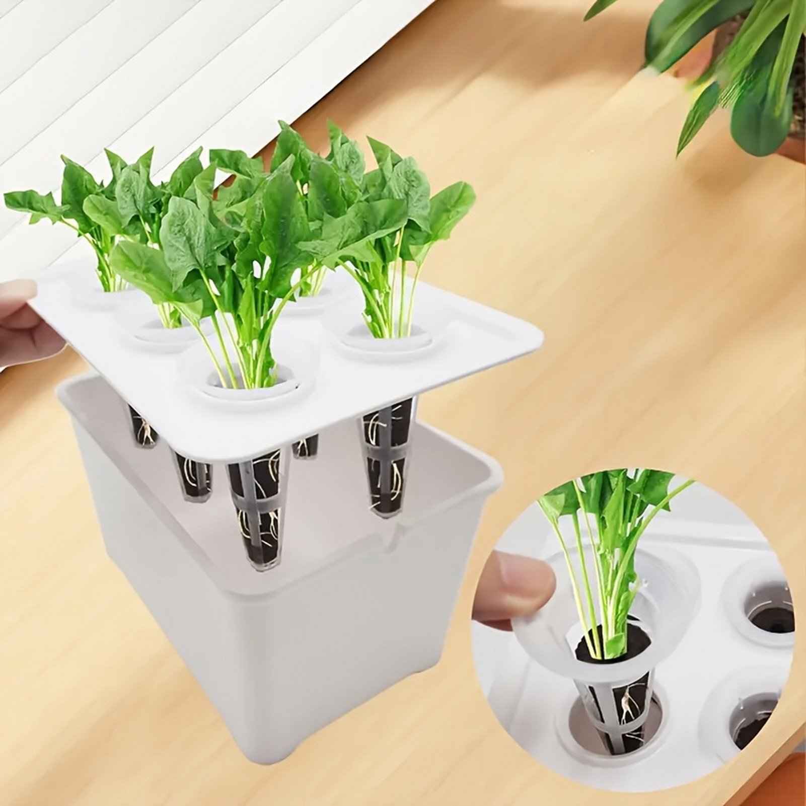 6 dalam 1 Pot Pembibitan Hidro - Indoor Herb Garden Kit ulasan dan harga