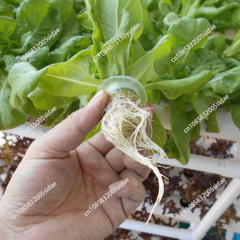 Kit Sistem Penanaman Hidroponi - Indoor Herb Garden Kit ulasan dan harga