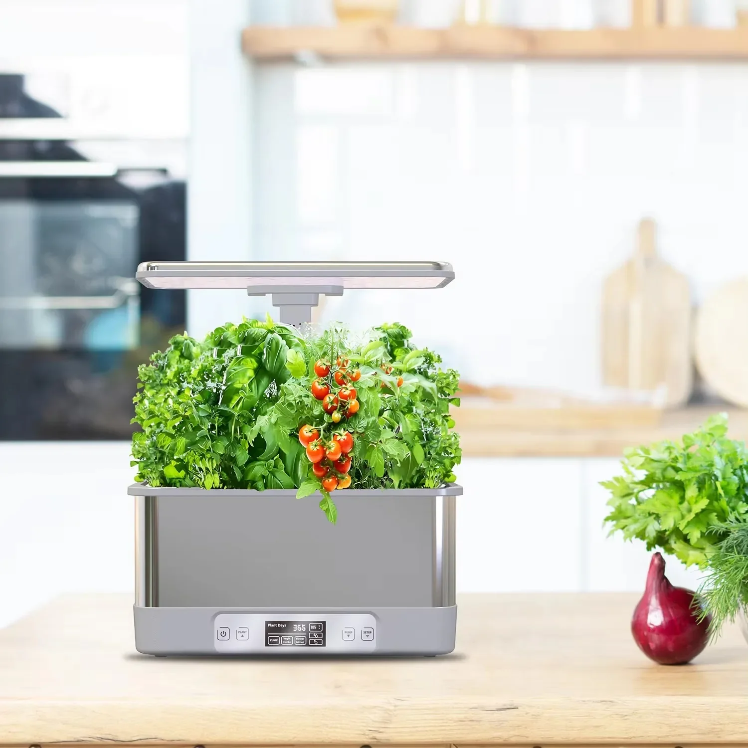 Kit Kebun Hidroponik Dalam Rua - Indoor Herb Garden Kit ulasan dan harga