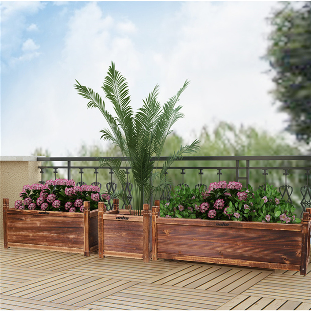 Tempat tidur bunga naik kayu d - Indoor Herb Garden Kit ulasan dan harga