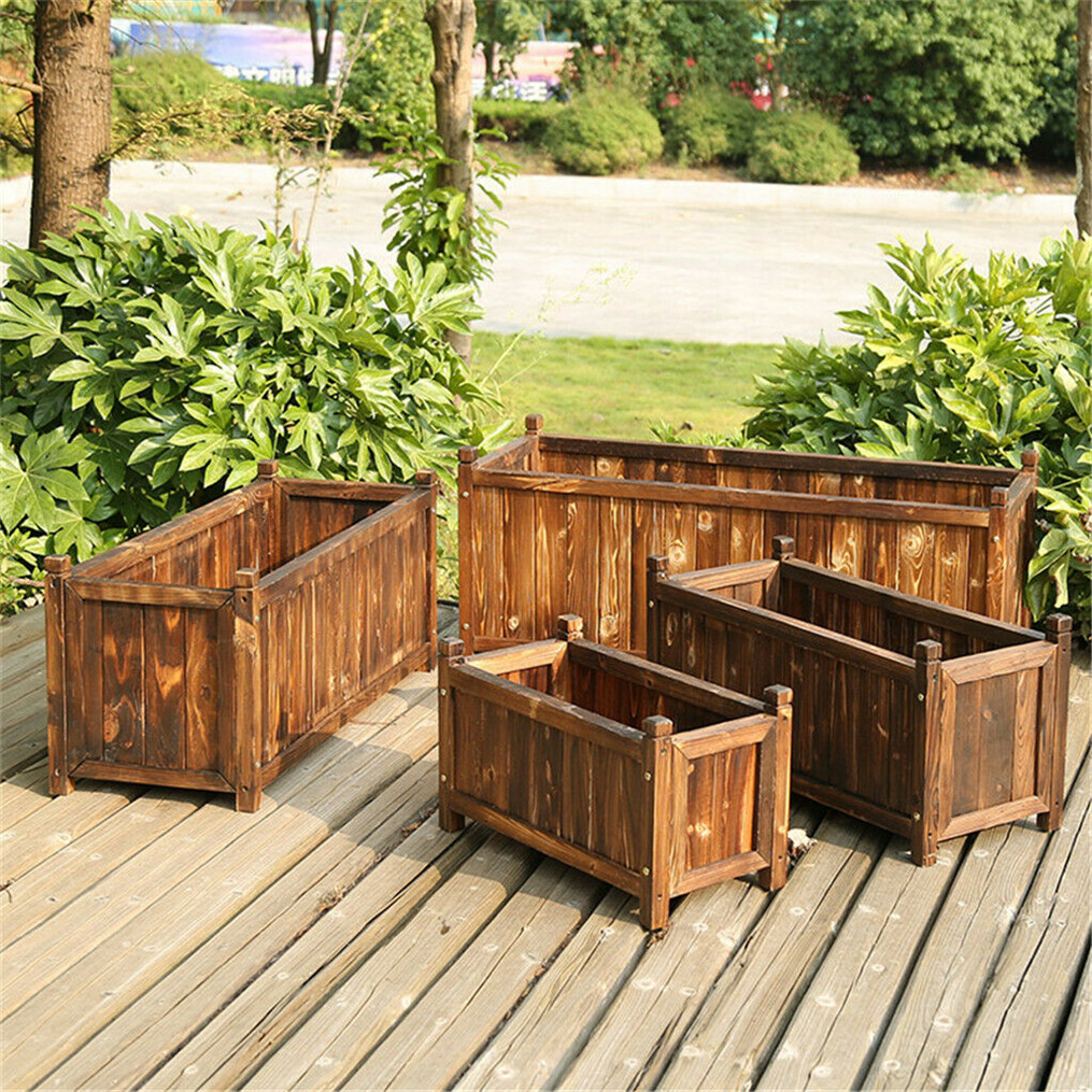 Tempat tidur bunga naik kayu d - Indoor Herb Garden Kit ulasan dan harga
