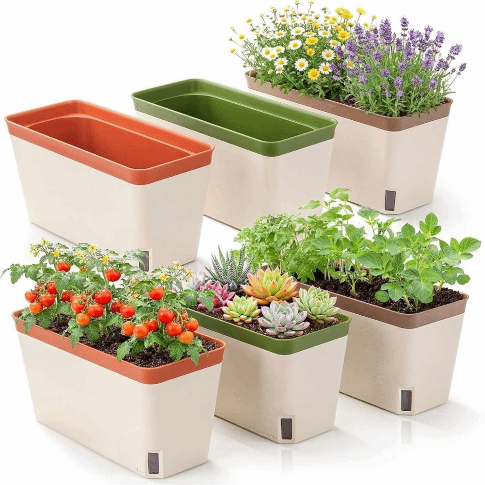 Pot Tanam Modern Berkualitas T - Indoor Herb Garden Kit ulasan dan harga