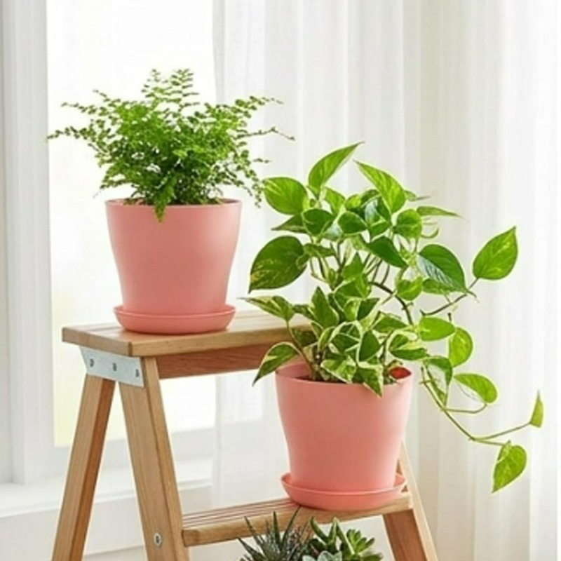 Set Pot Tanaman dengan Lubang  - Indoor Herb Garden Kit ulasan dan harga